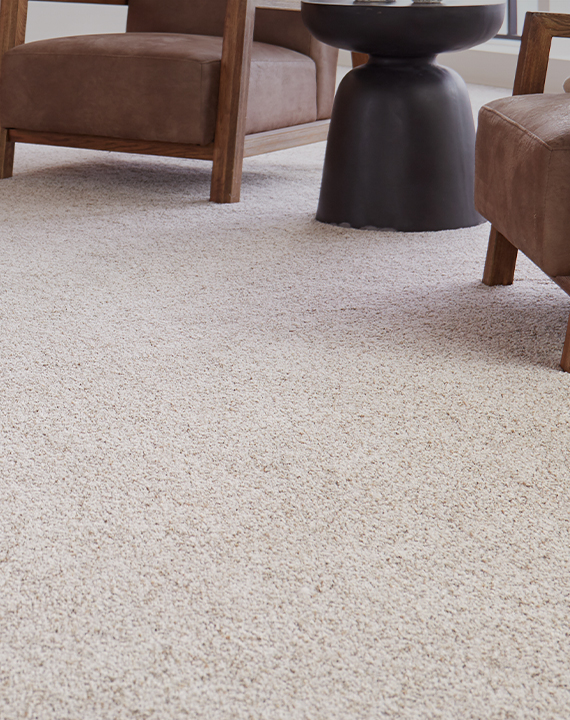 Plush carpet in a living room at home.
